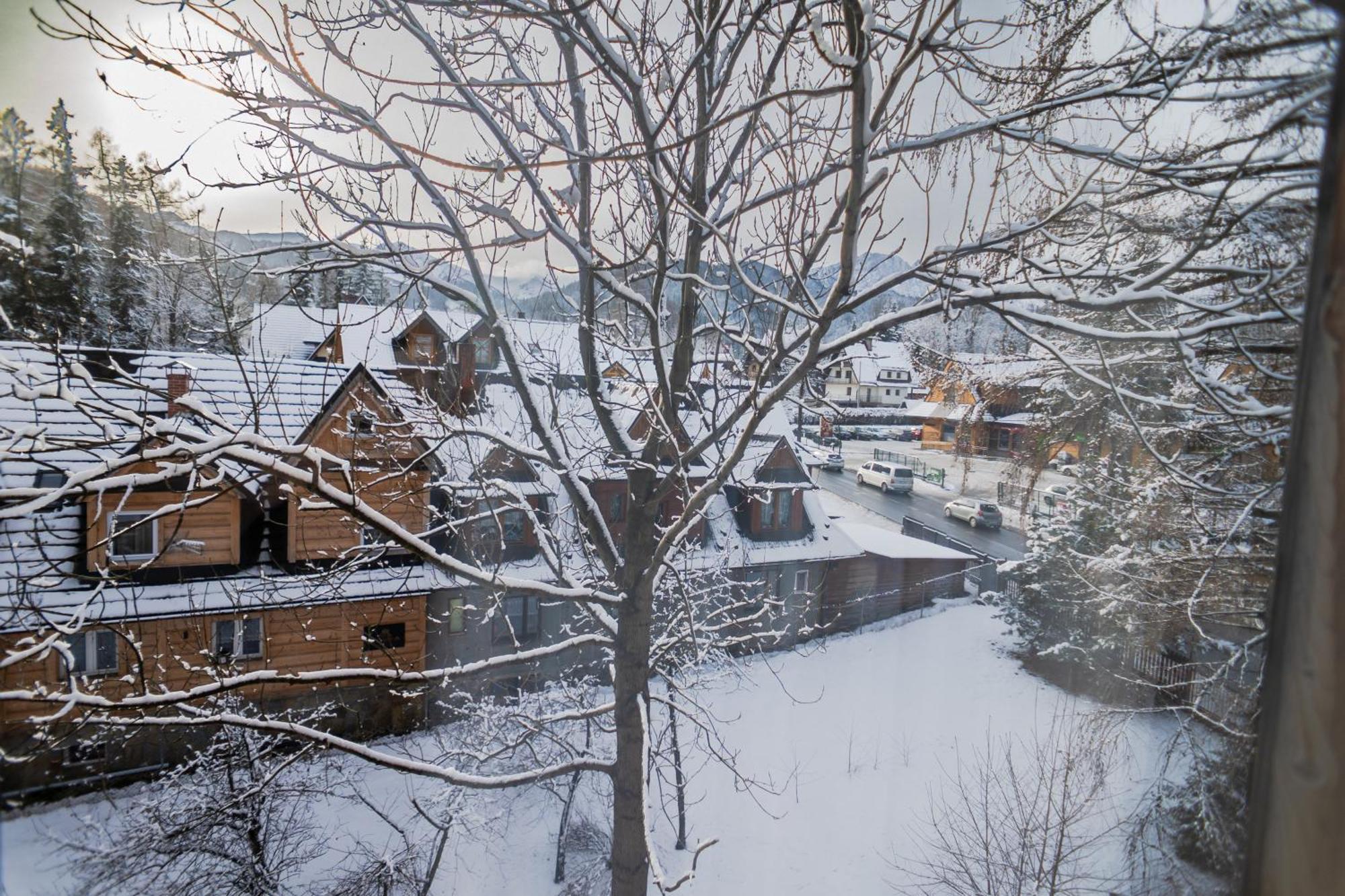 Willa Owca I Baran Zakopane Exterior foto